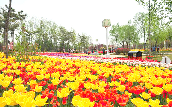 郑州美博会分享美景地1：绿博园
